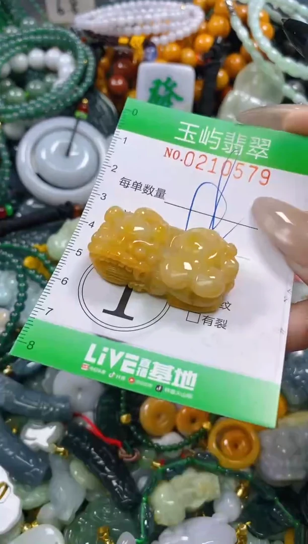 颈饰未镶嵌翡翠闪购0210579