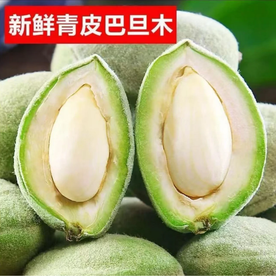 【谢】新疆现摘绿皮巴旦木当季水果原味带青壳即食扁桃仁巴旦木