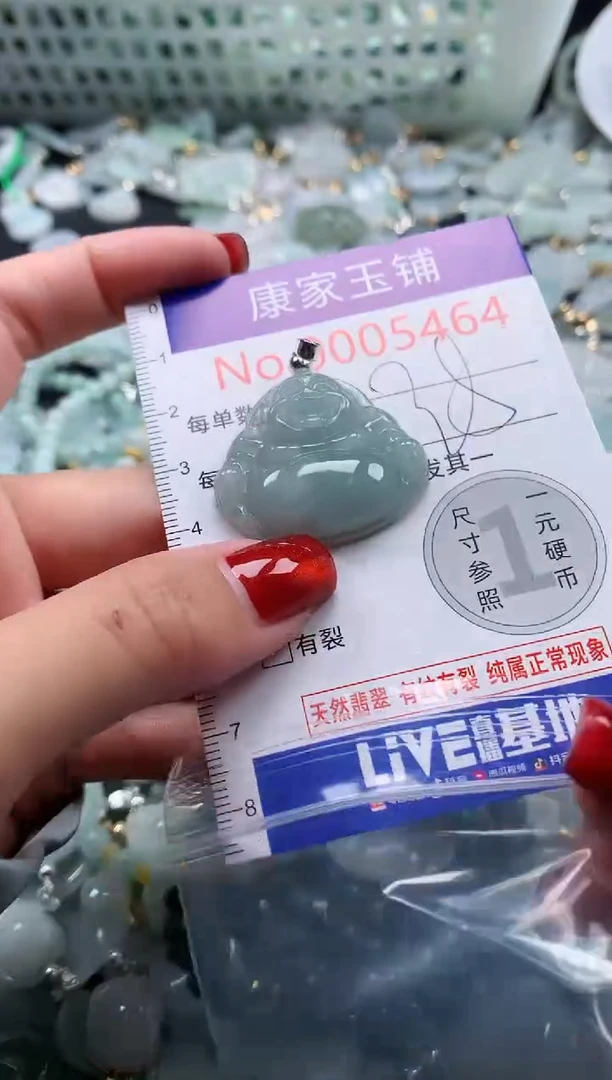 翡翠未镶嵌吊坠(不含链)5464