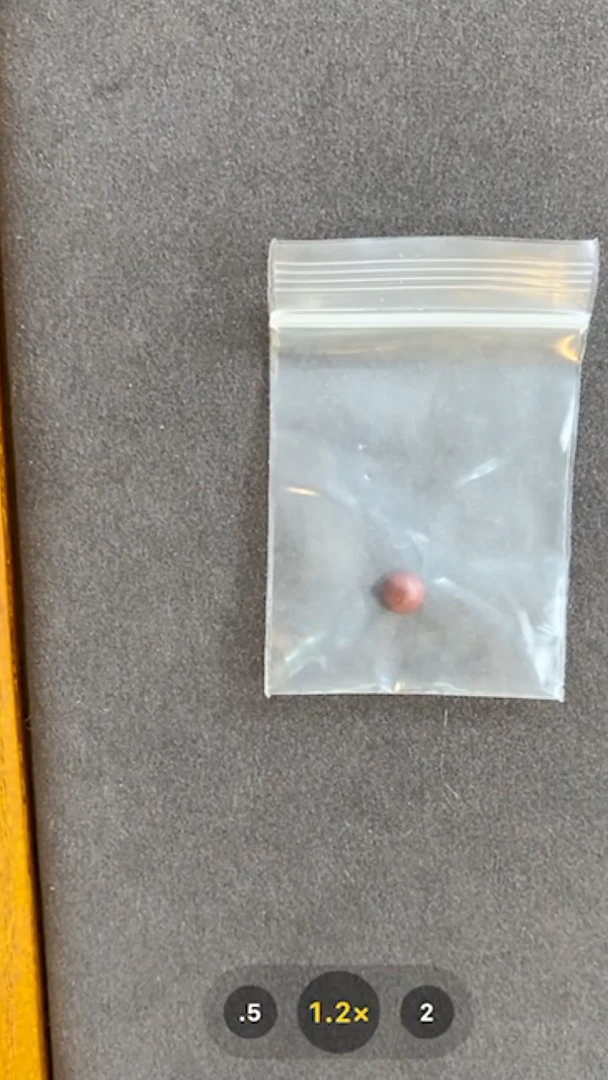 泥塑白哈儿丸-与实物略有差异介意者勿拍