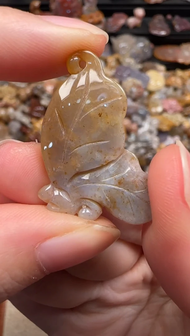 硅化珊瑚（珊瑚玉）未镶嵌颈饰655