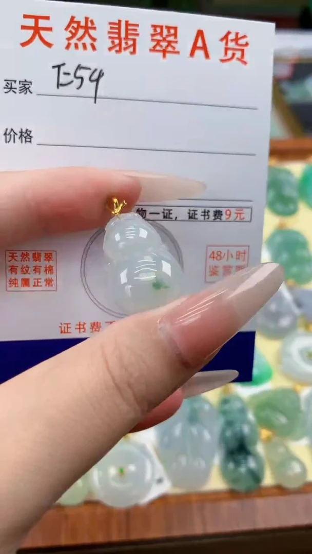 颈饰未镶嵌翡翠天然A货翡翠挂件