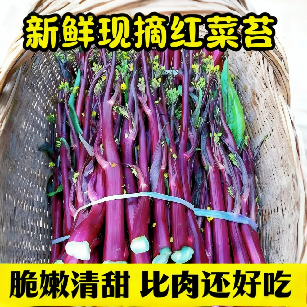 【新鲜脆嫩】湖北红菜苔新鲜菜苔农家自种新鲜蔬菜芯当季现摘红菜苔