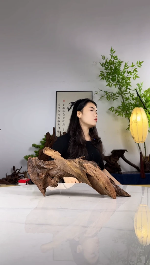 到**逛拍沉木定向链接编号67