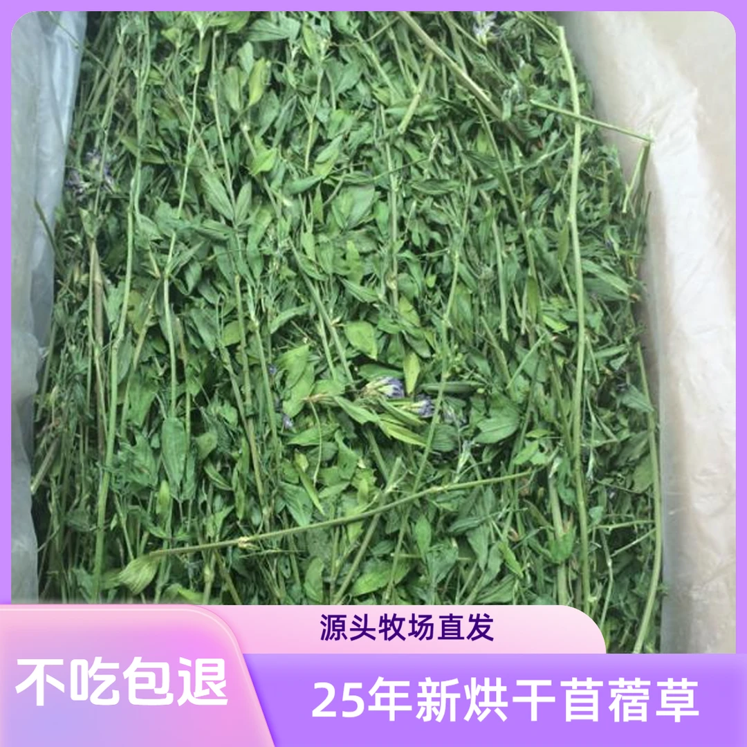 紫花苜蓿草兔子烘干苜蓿草龙猫兔兔荷兰猪豚鼠粮大叶细杆