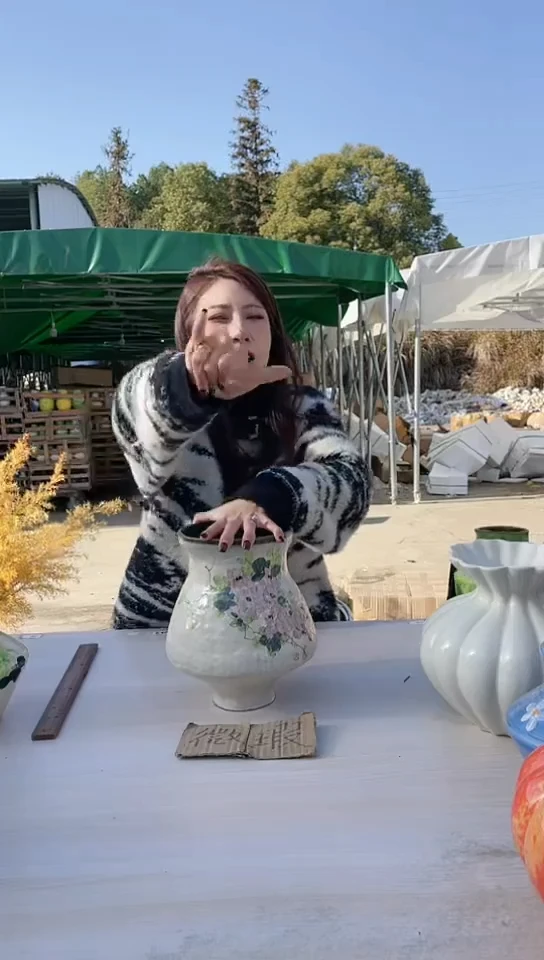 【闪购商品】陶瓷景德镇手工陶瓷