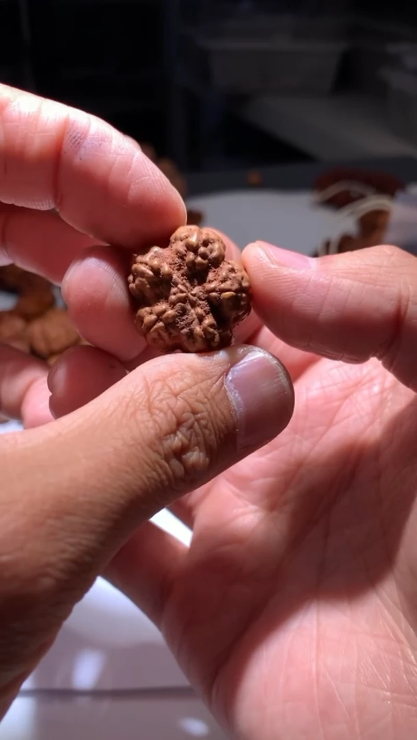 金刚菩提手串3300000000一条/