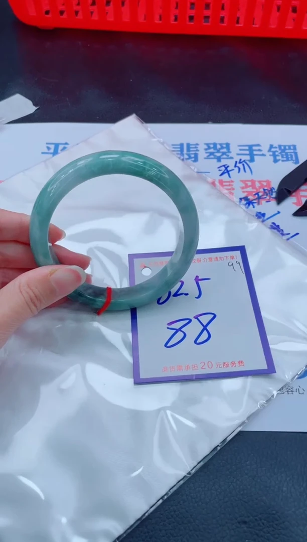 未镶嵌手镯翡翠11111111