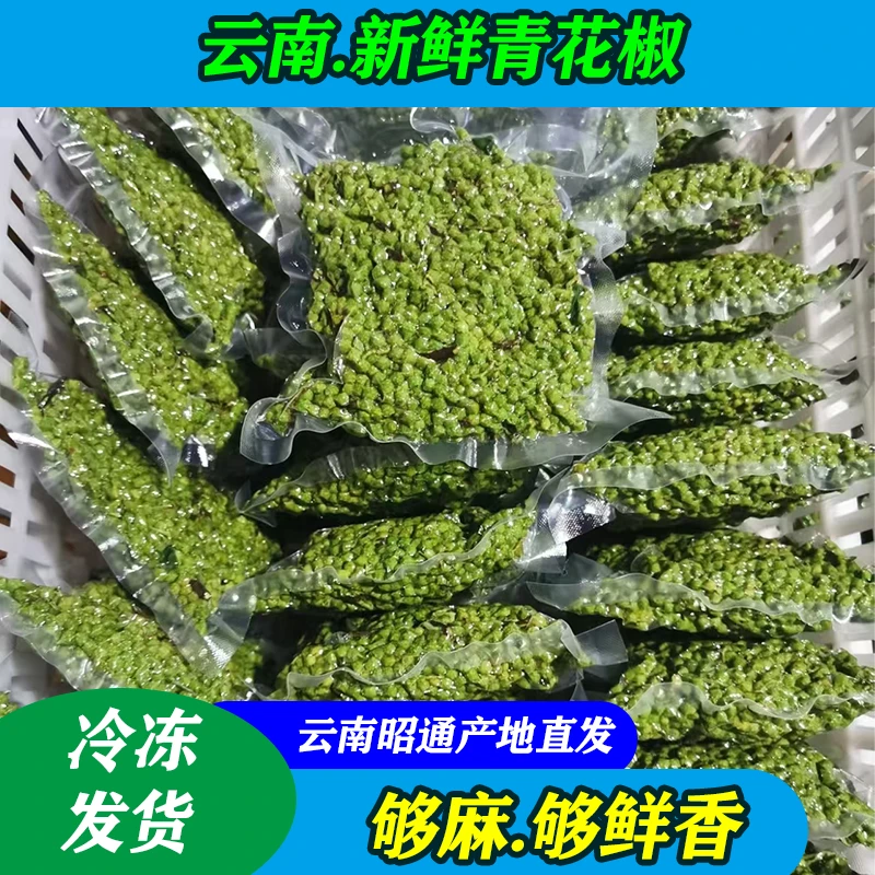云南鲁甸九叶青花椒特麻特香新鲜调味食用鲜花椒保鲜花椒