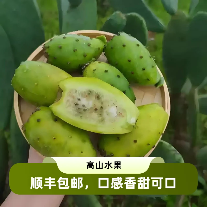 【顺丰包邮】四川高山泸定仙桃仙人掌果香甜可口