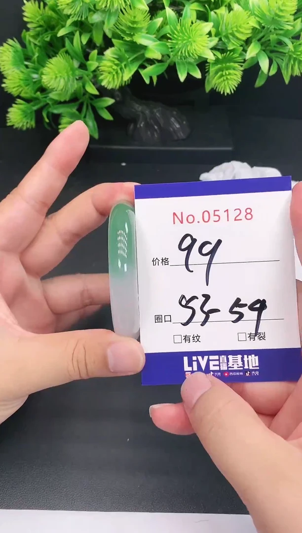 未镶嵌手镯翡翠5128