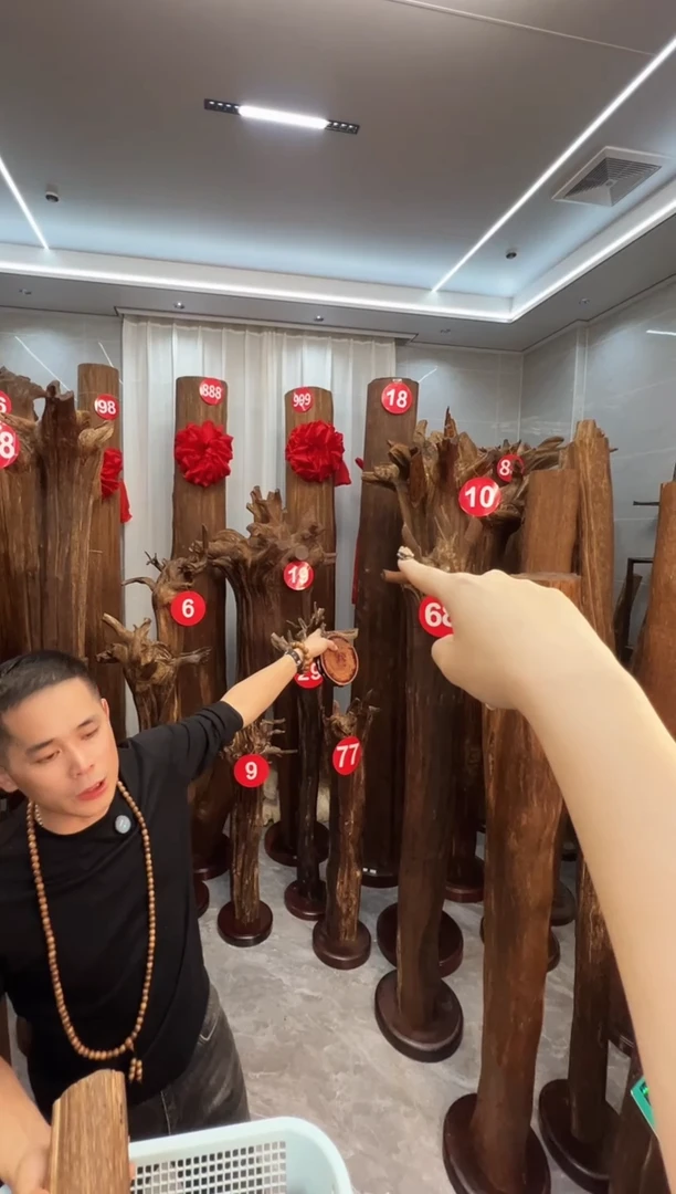 沉香摆件长**盟沉香原料