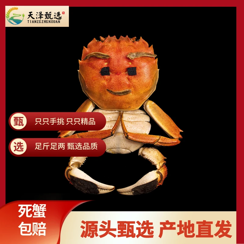 【活蟹直播间指定链接】盘锦河蟹 母蟹/公蟹 2两以上 1只 顺丰发货