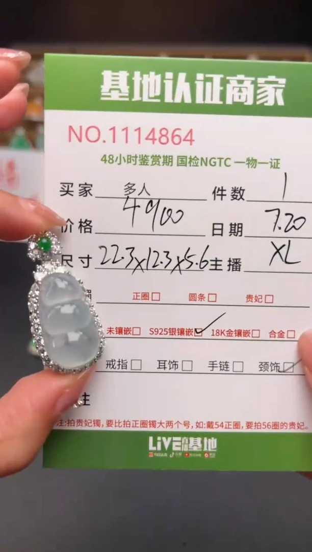 翡翠银S925镶嵌颈饰多人