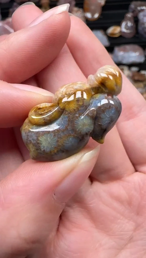 颈饰未镶嵌硅化珊瑚（珊瑚玉）671