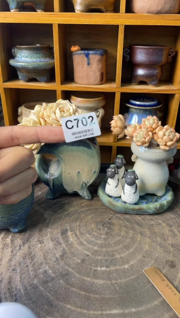 G**c702【多肉花盆多肉盆】