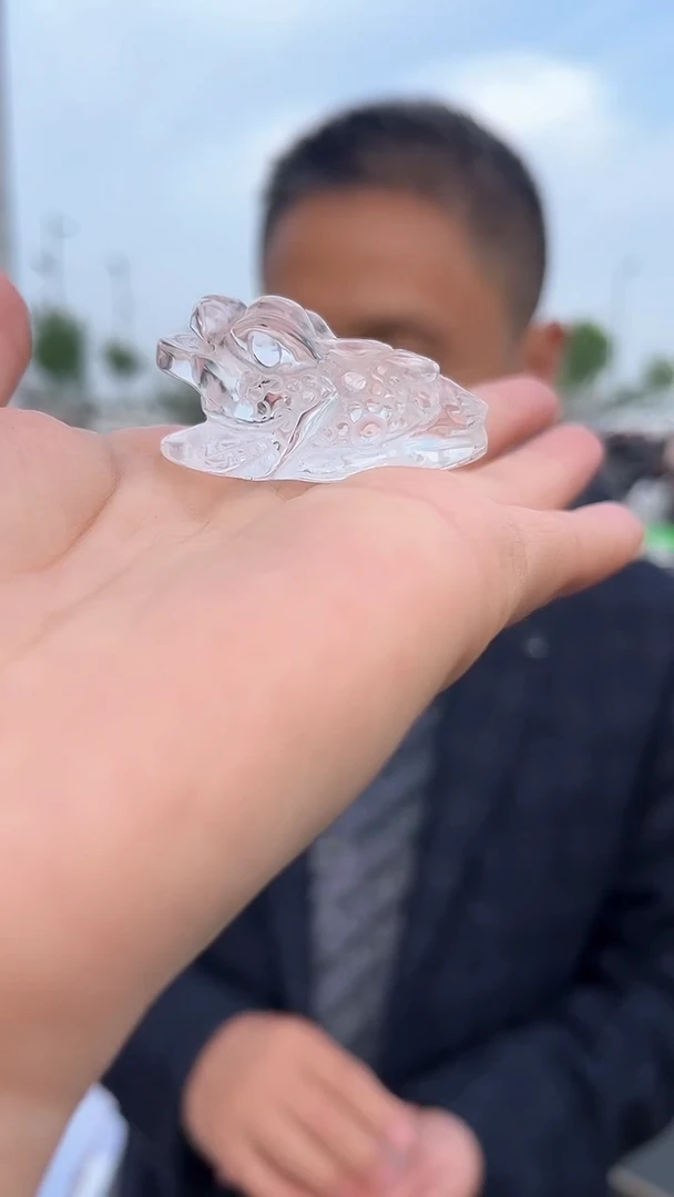 雕刻未镶嵌水晶天然金蟾多样性发一mm