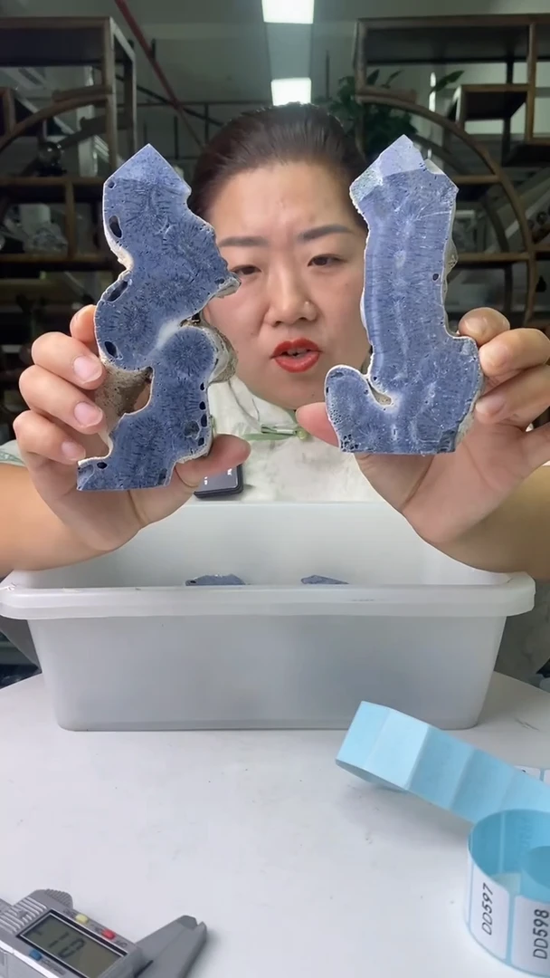 硅化珊瑚（珊瑚玉）原石未镶嵌珊 瑚玉原石D591多样性发其一