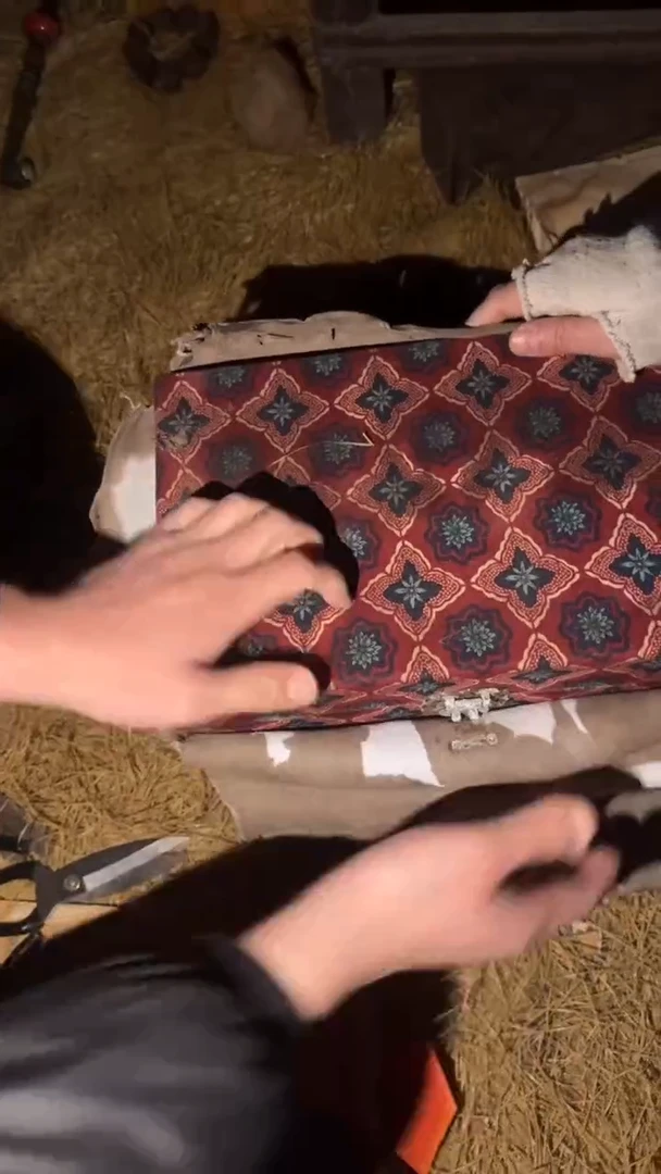 香榧木牛疲箱打开