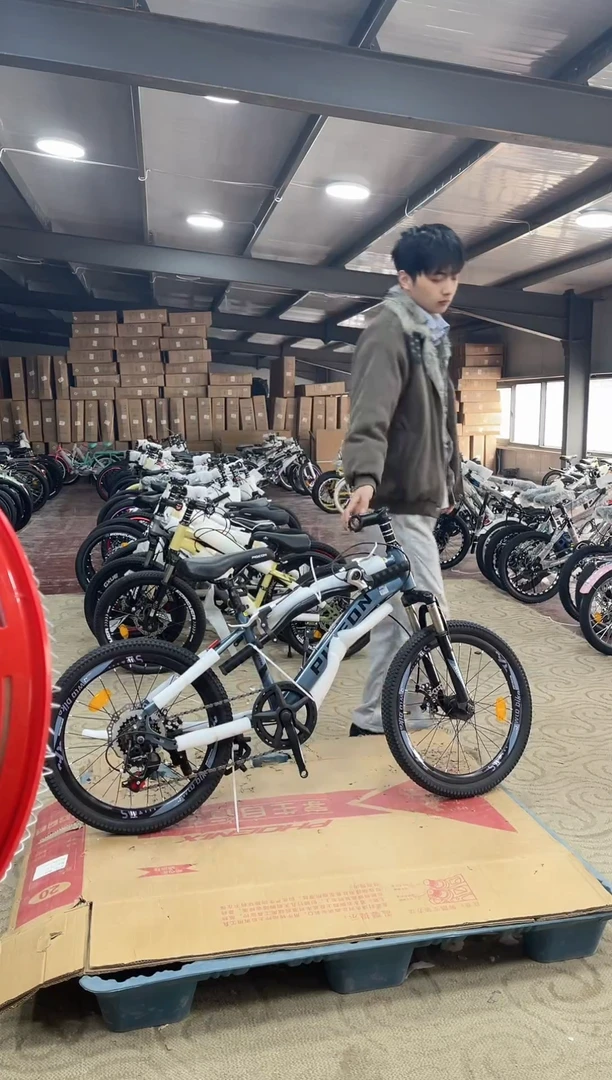 20寸-7速-蓝【默认微瑕，不退不换，介意勿拍】