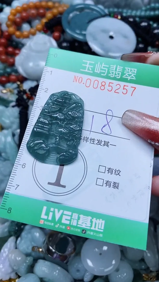 【闪购商品】翡翠颈饰未镶嵌闪购0085257