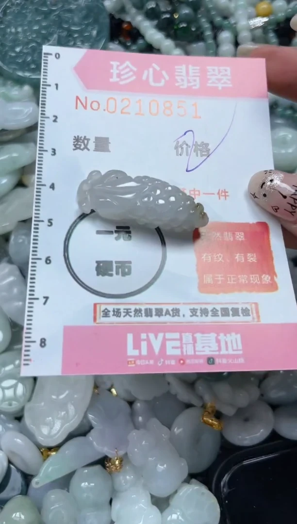翡翠未镶嵌颈饰闪购0210851
