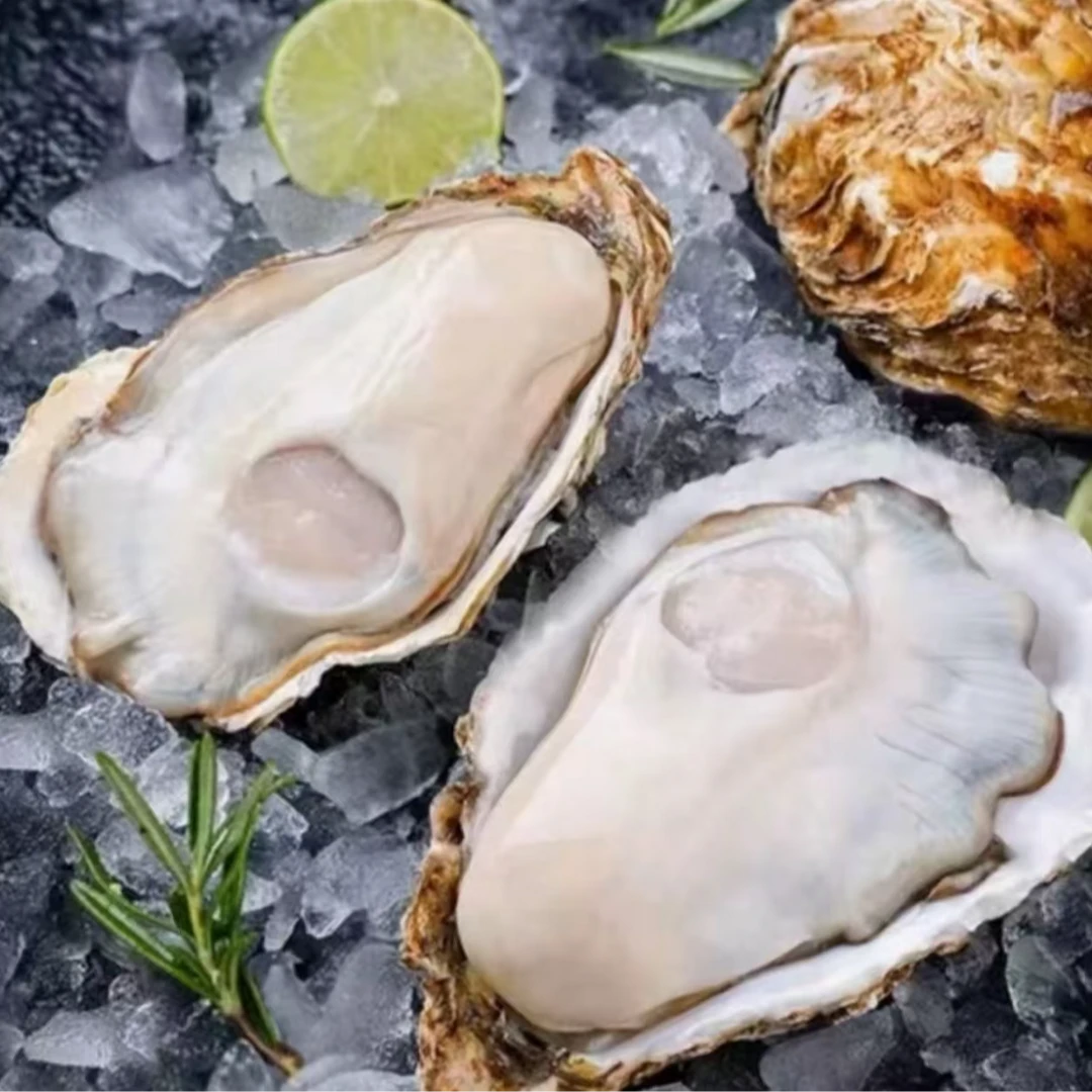 憨头海鲜 鲜活超大个生蚝3只左右/斤*9斤(生蚝三件套)