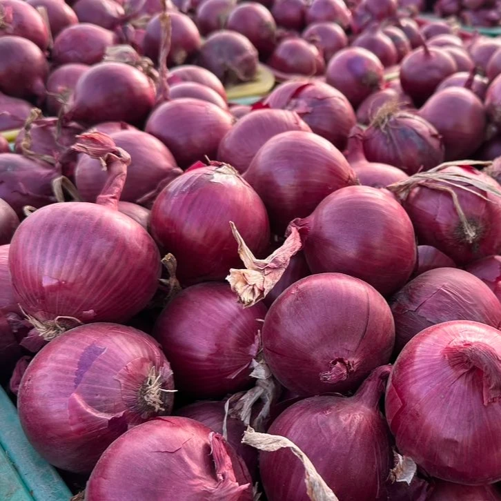 2025年新鲜紫皮圆洋葱口感脆嫩可炒菜凉拌的蔬菜