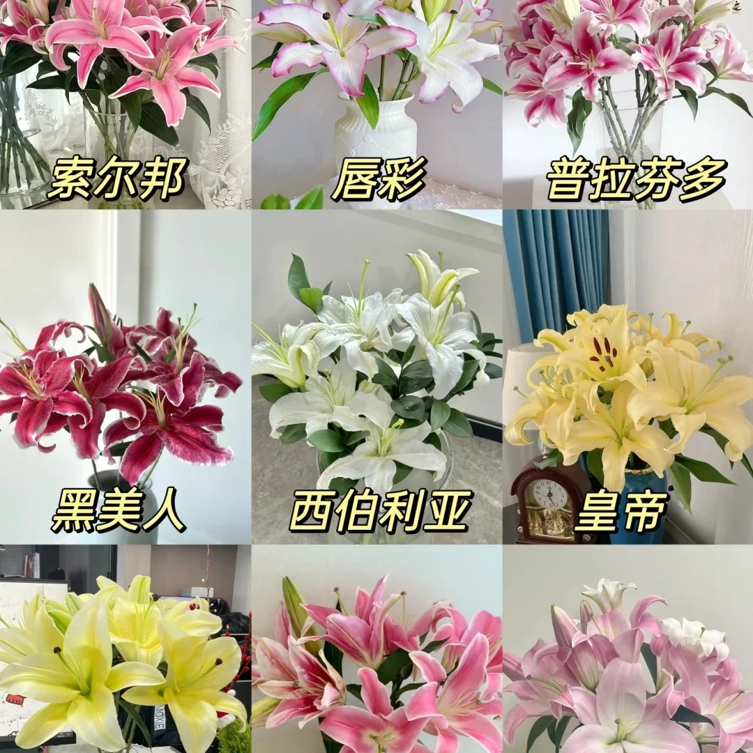 【源头优选】特价百合 任意2单鲜花包邮 发货后不支持退款