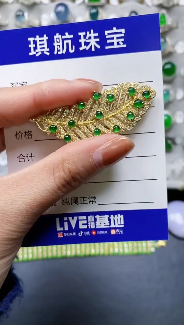 【闪购商品】翡翠颈饰银S925镶嵌0725