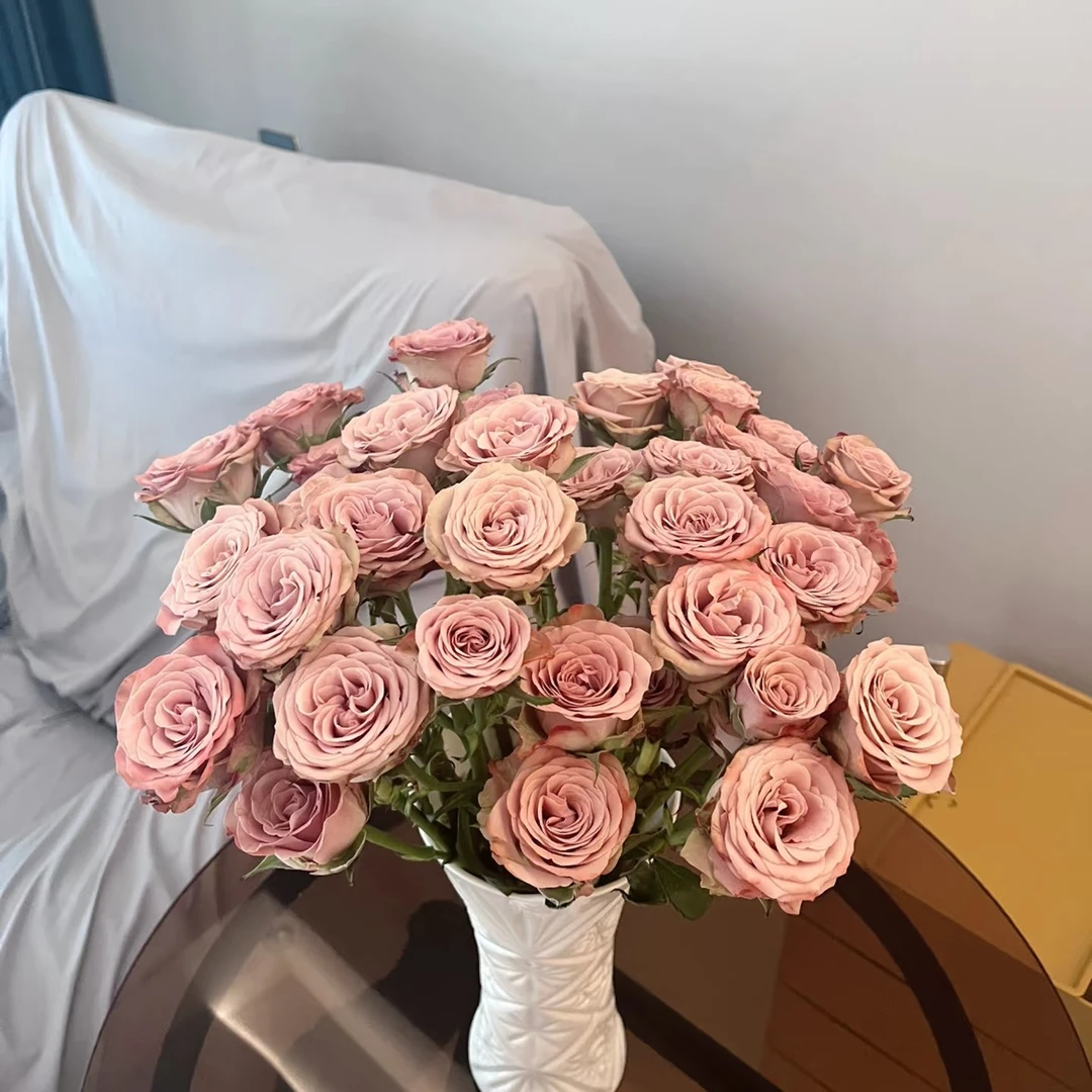 【多头卡布奇诺】云南斗南基地现采现发品质好卡布奇诺多头玫瑰10支