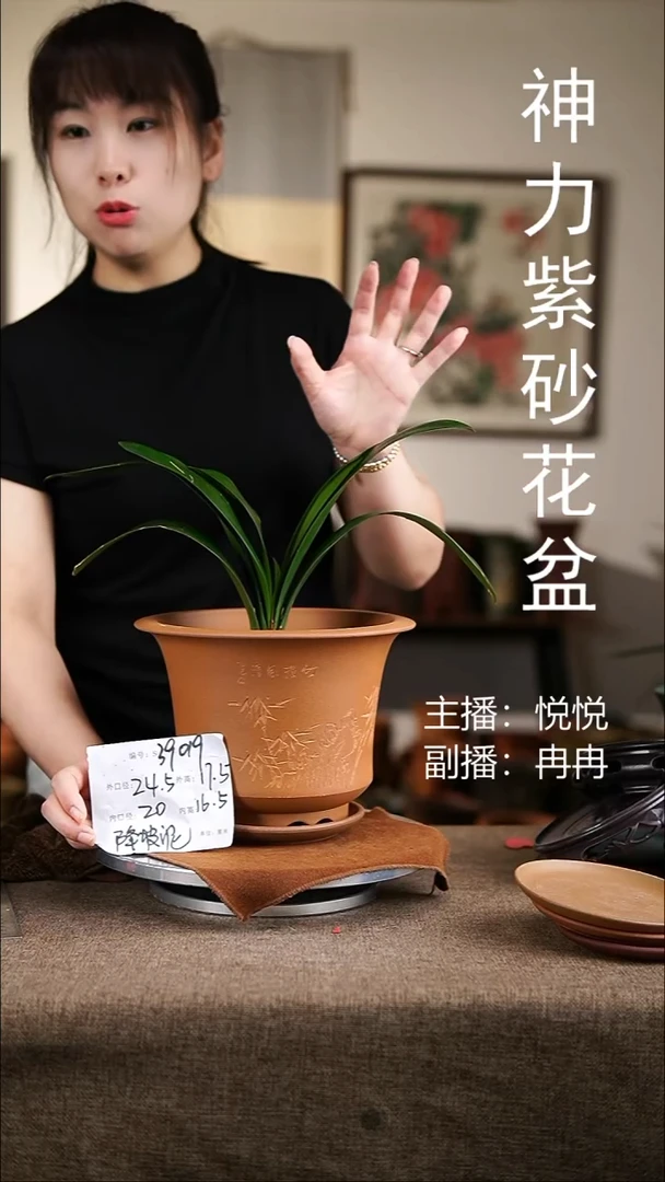 紫砂花盆紫砂花盆39019+z