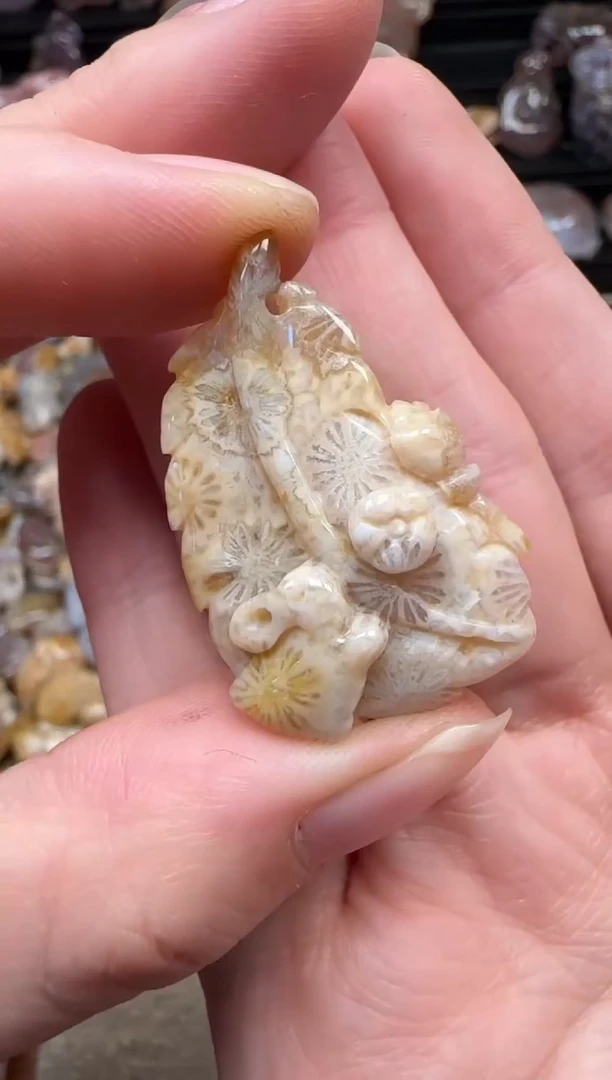 颈饰未镶嵌硅化珊瑚（珊瑚玉）800