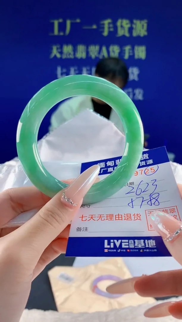 未镶嵌手镯翡翠25