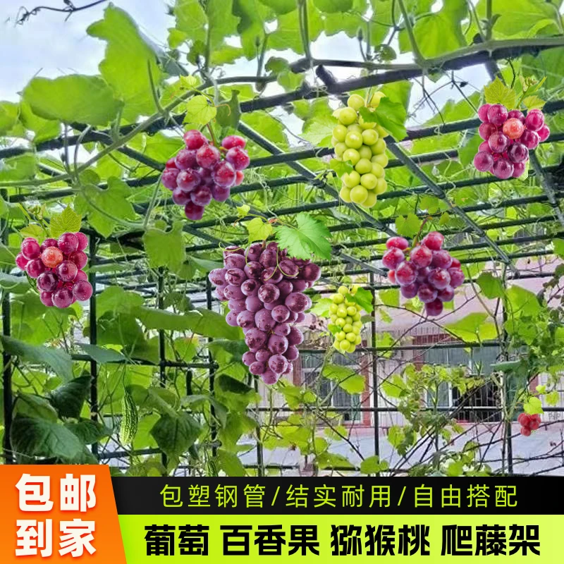 葡萄支架丝瓜南瓜葫芦爬藤架丝瓜百香果爬藤支架室外植物支撑杆网