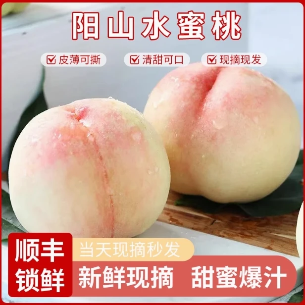 【买一送一】6-5两白凤正宗无锡阳山水蜜桃16个新鲜自家产现摘现发
