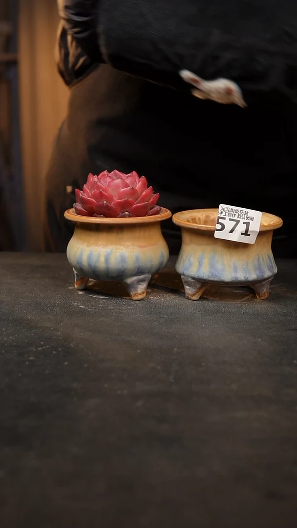 【闪购商品】瓷片571泥泥手工花盆口7-8高7-8