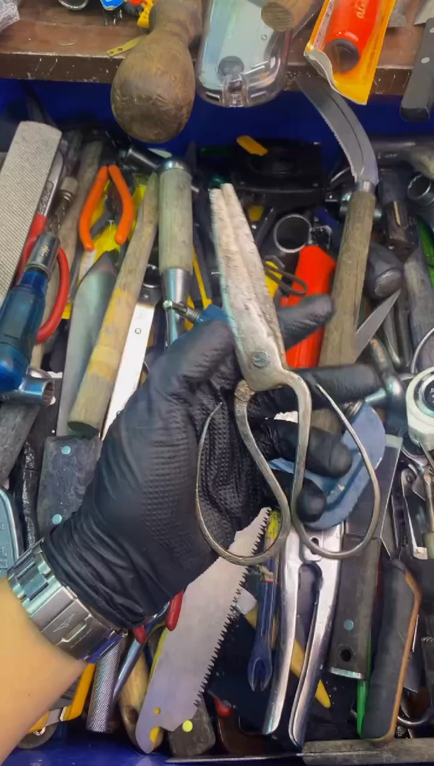 拾*者可乐日本工具仓库闪购链接