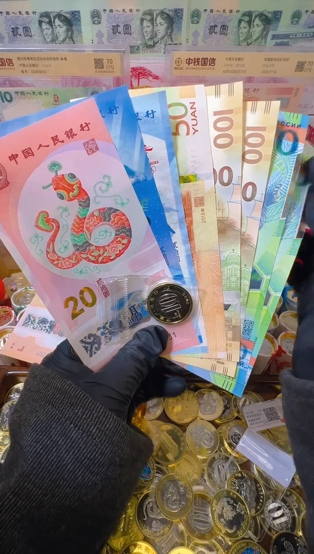 【闪购商品】铜福蛇献瑞纪念八钞一币合集（纸+塑料）