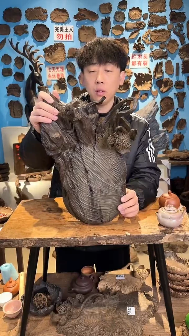 【闪购商品】木350号乌木金丝楠干泡