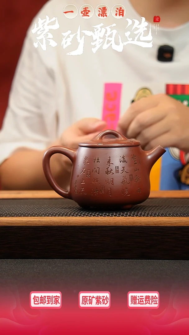 茶壶紫砂 一壶漂泊紫砂茶器6010