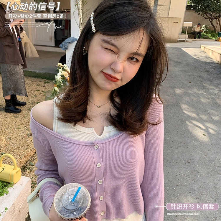 (清)花栗鼠小姐【心动的信号】开衫背心针织衫两件套女薄款温柔系
