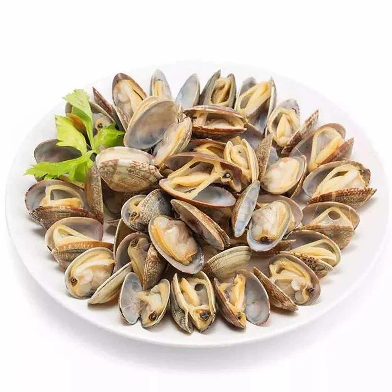 花蛤(鲜)【约500g】