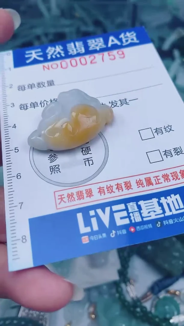 颈饰未镶嵌翡翠00002759
