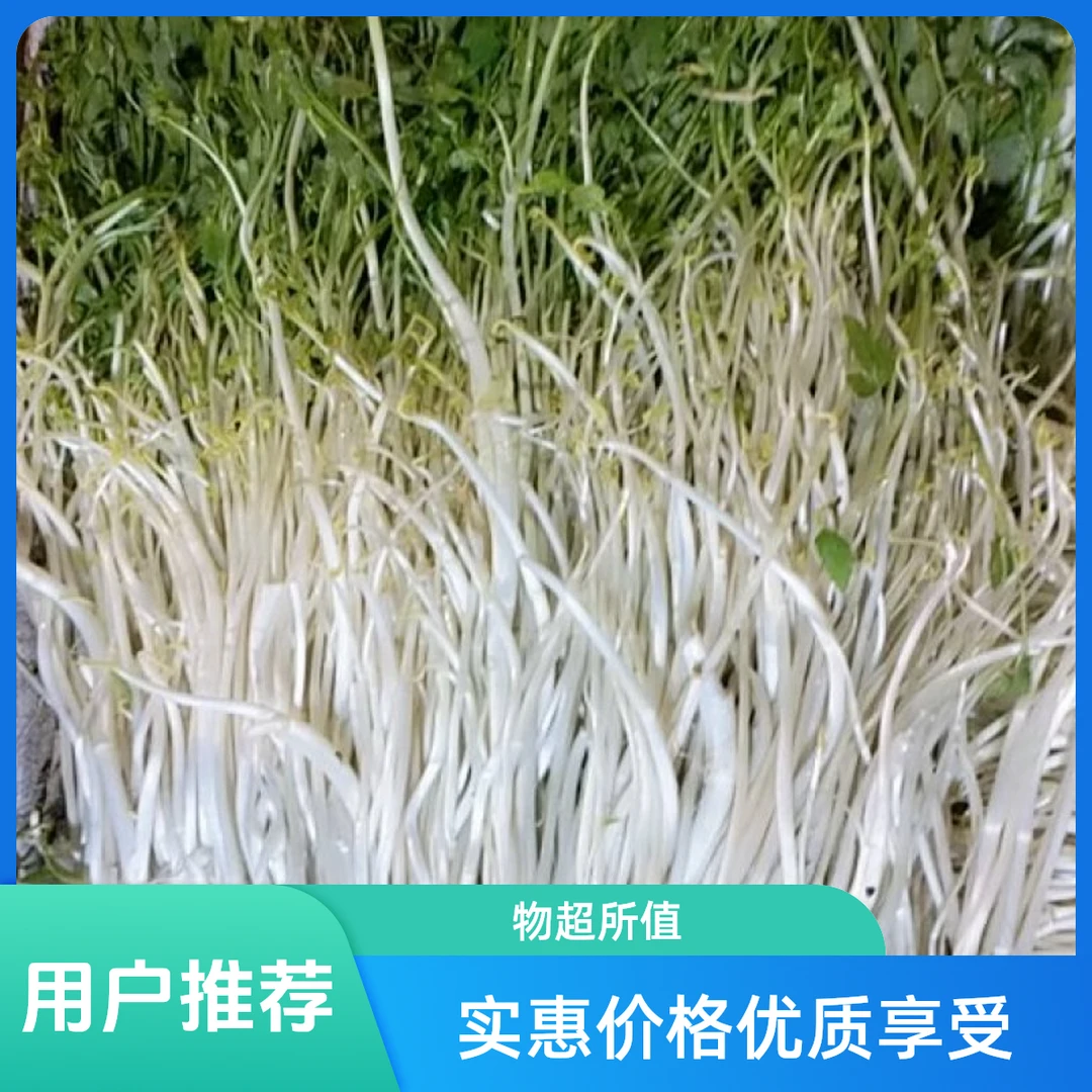 溧阳白芹古法种植地头农家菜无添加绿色蔬菜顺丰包邮
