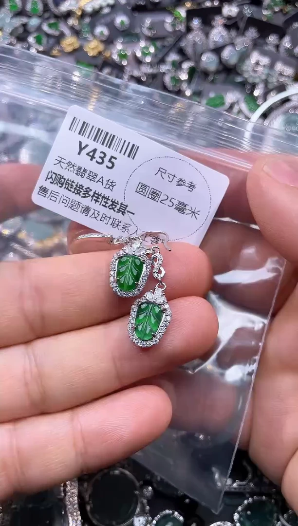 【闪购商品】翡翠颈饰未镶嵌Y435耳钩