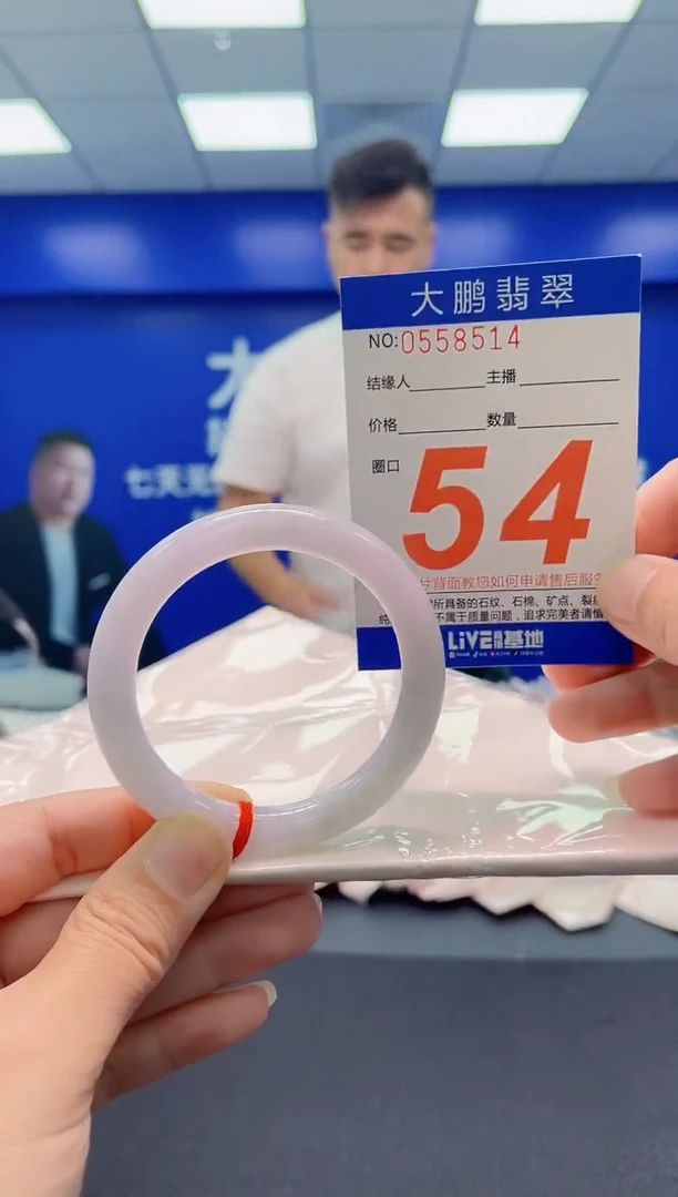 未镶嵌手镯翡翠AAAAAAAAA