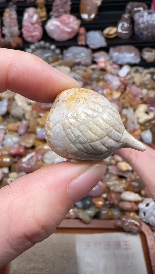 颈饰未镶嵌硅化珊瑚（珊瑚玉）123