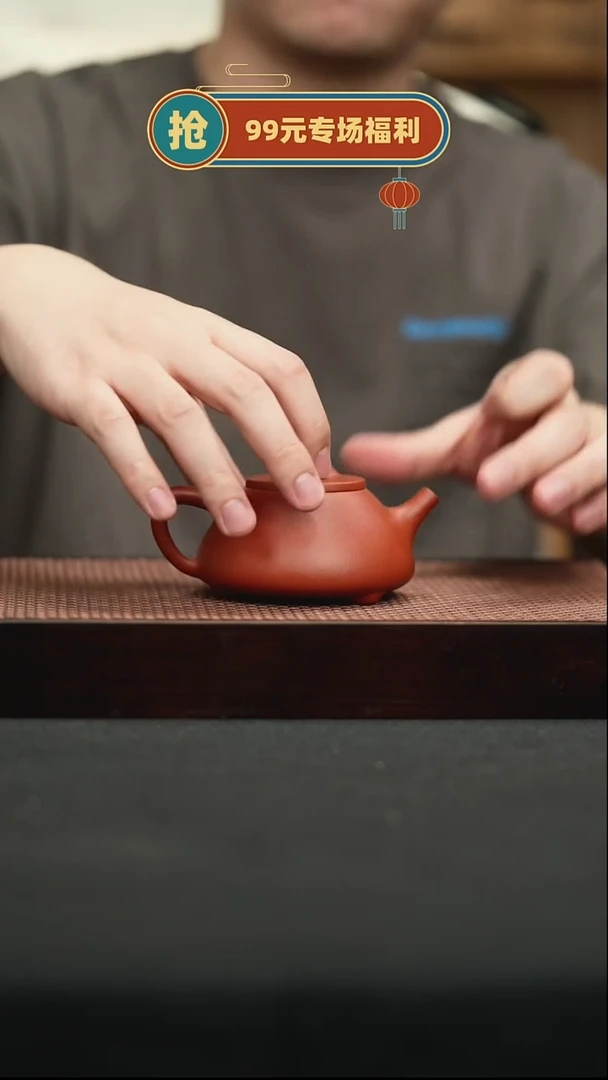 茶壶紫砂宜兴原矿紫砂壶19鱼籽朱泥