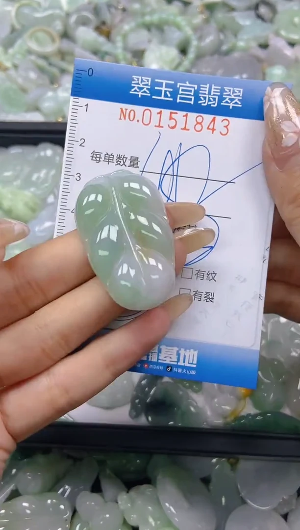 翡翠未镶嵌颈饰闪购0151843